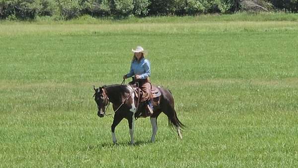 athletic-paint-horse