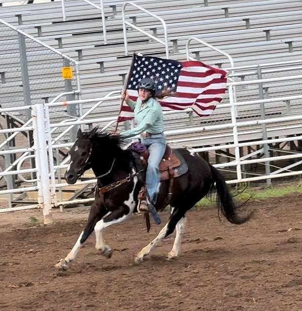 calf-roping-paint-horse