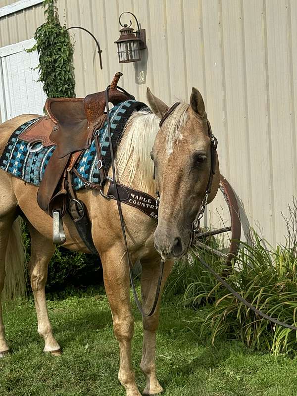 barrel-racing-quarter-horse