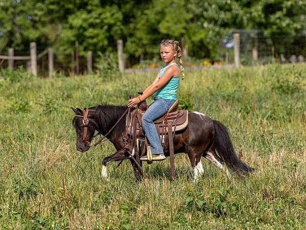 trail-quarter-pony