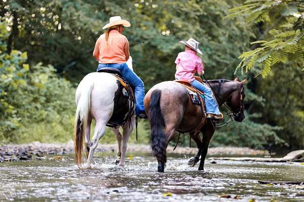 athletic-quarter-horse