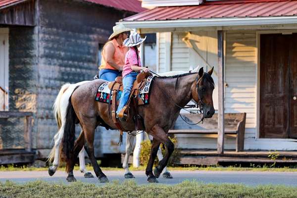 family-horse-quarter