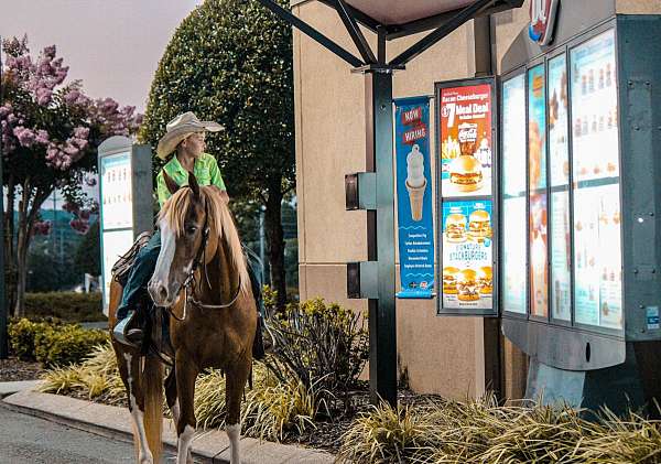 ranch-work-quarter-horse