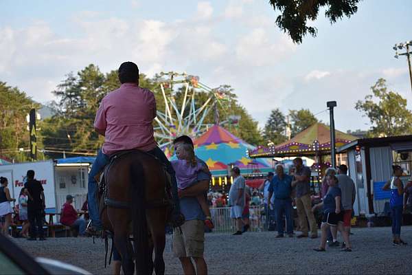 beginner-safe-quarter-horse