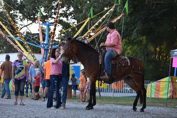 ranch-work-quarter-horse