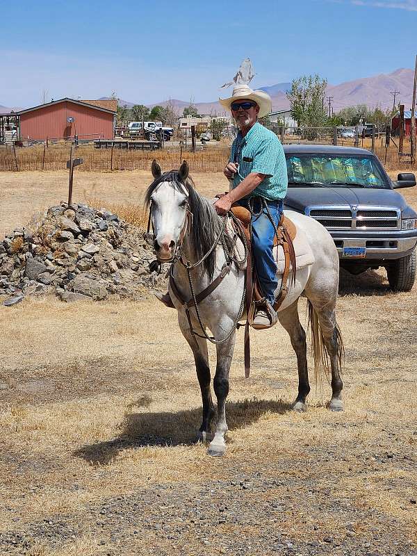 silver-quarter-pony