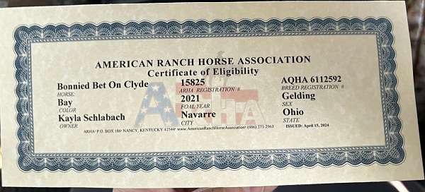 ranch-riding-quarter-horse