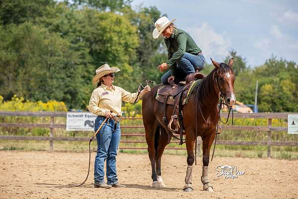 cowboy-mounted-shooting-quarter-horse