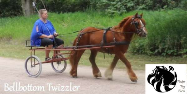 chestnut-parade-horse