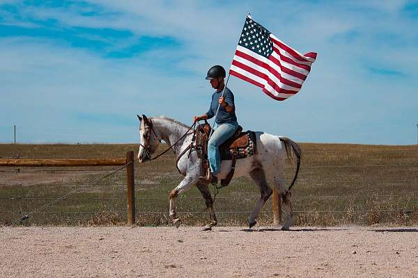 natural-horsemanship-training-araappaloosa-horse