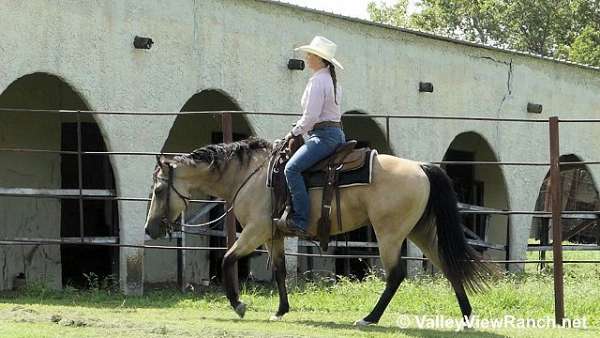 ranch-versatility-quarter-horse