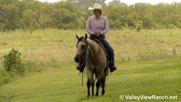 trail-quarter-horse