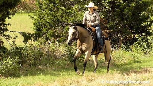 trail-riding-quarter-horse