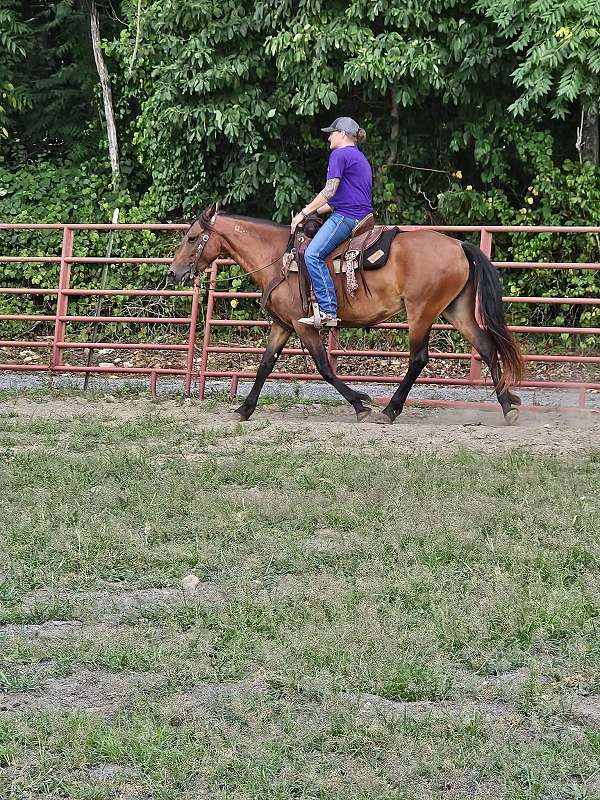 green-mustang-horse