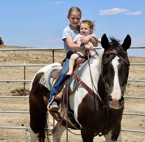 husband-safe-paint-horse