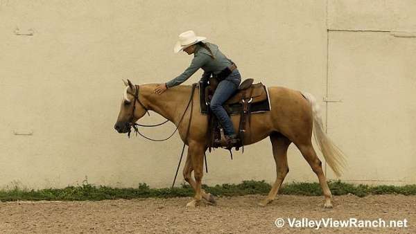 barrel-racing-quarter-horse