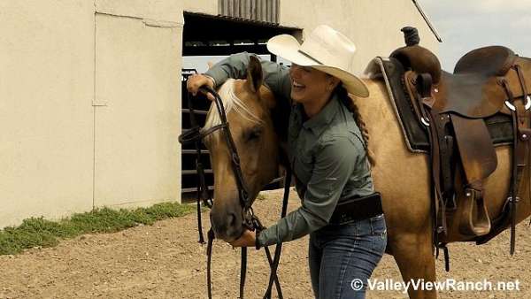 palomino-barrel-horse