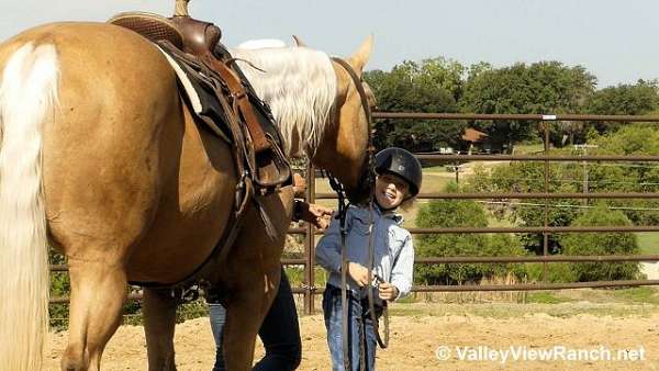 trail-riding-quarter-horse