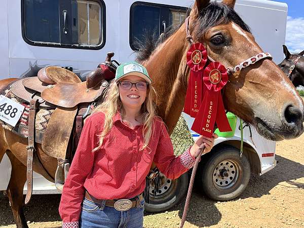 trail-mustang-horse