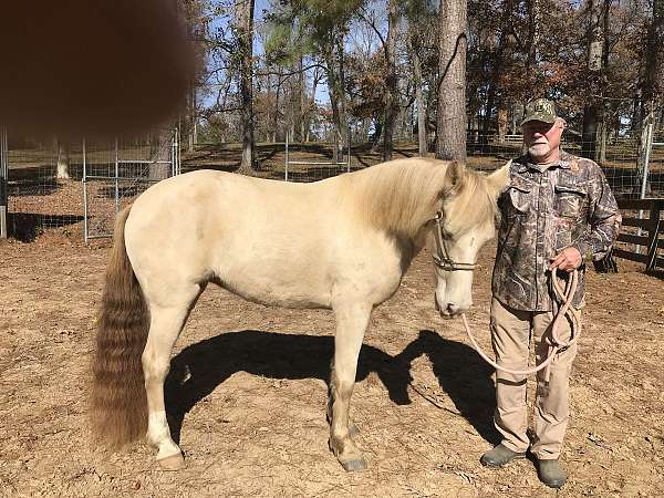 trail-horse-kentucky-mountain