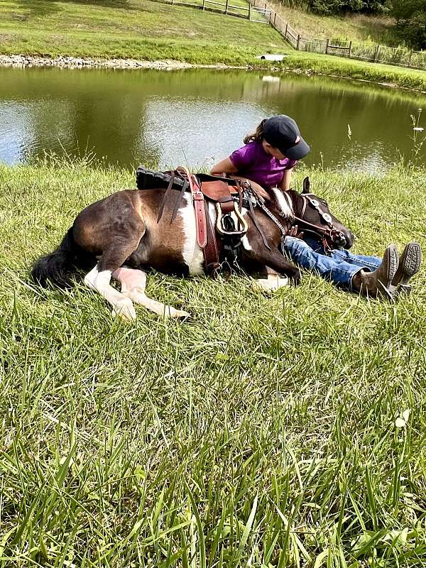 gymkhana-miniature-horse