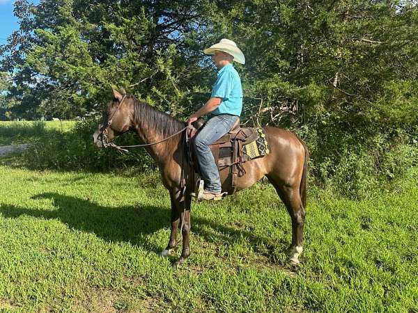 flashy-quarter-horse