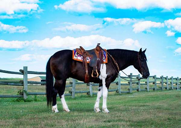 chestnut-blaze-horse