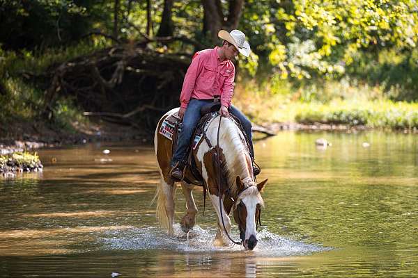 husband-safe-quarter-pony