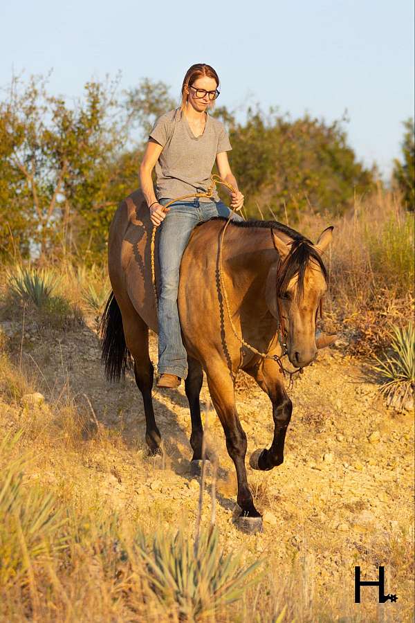 and-ranch-quarter-horse