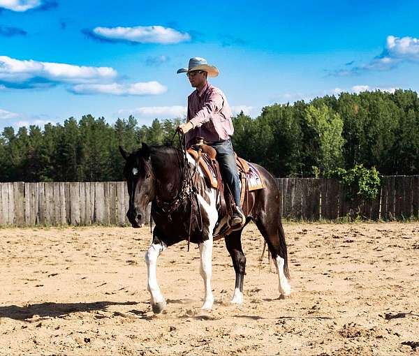 family-horse-quarter