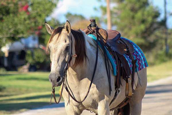 ranch-work-quarter-horse