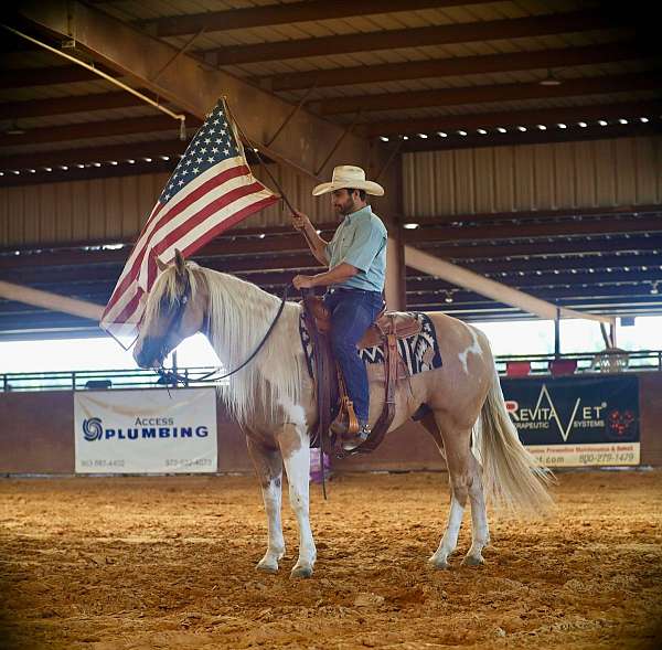 ranch-work-paint-horse