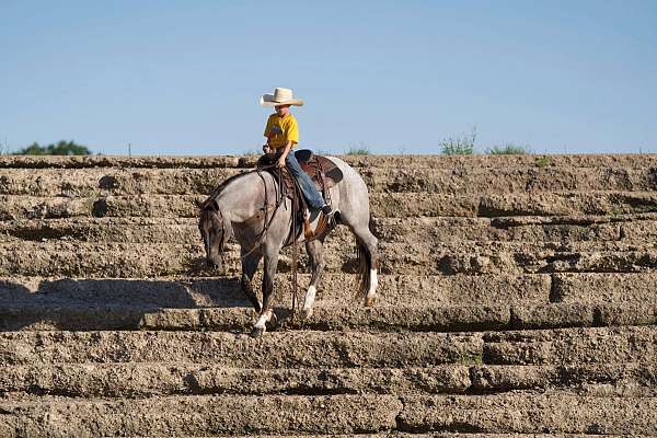 ridden-western-quarter-horse