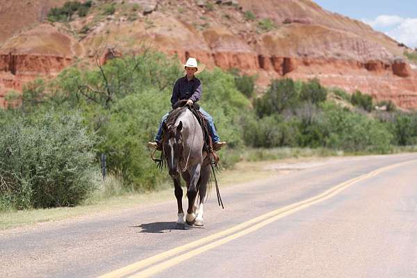 roping-quarter-horse