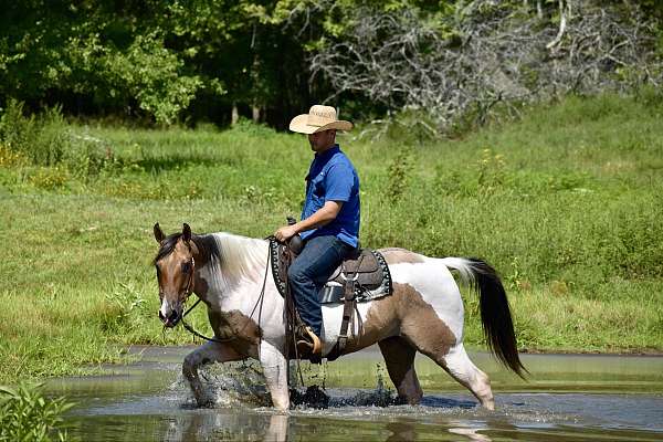 trail-riding-paint-horse