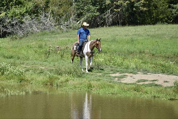 western-riding-paint-horse