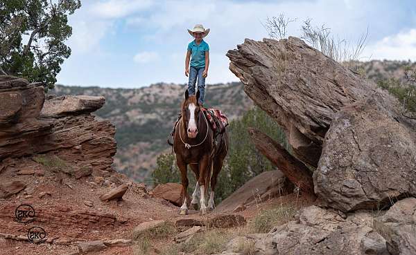 western-riding-quarter-horse