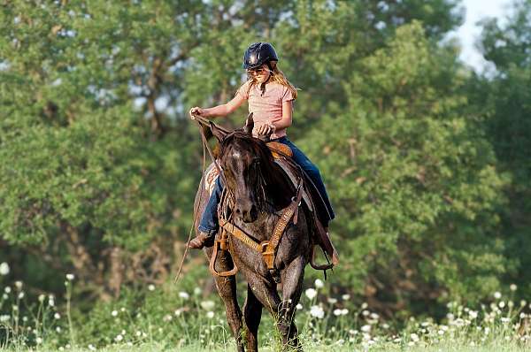 calf-roping-quarter-horse