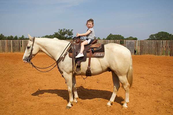 parade-quarter-horse