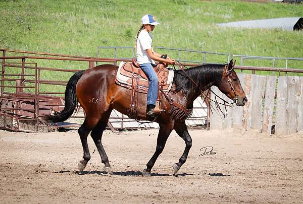 barrel-racing-quarter-horse