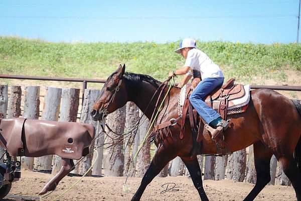 trail-riding-quarter-horse