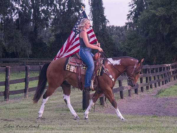 kid-safe-quarter-pony