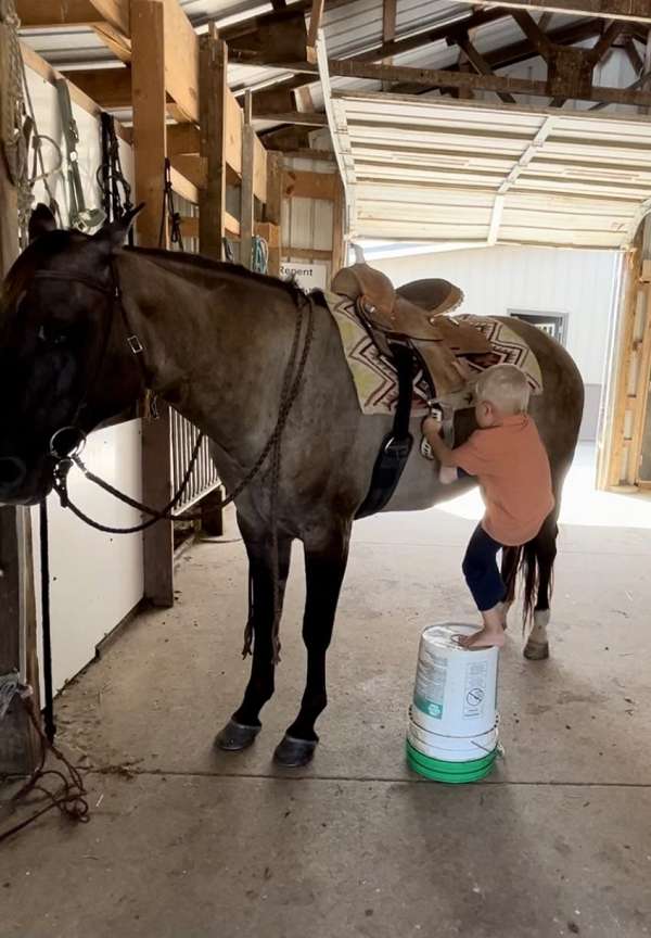 black-head-feet-horse