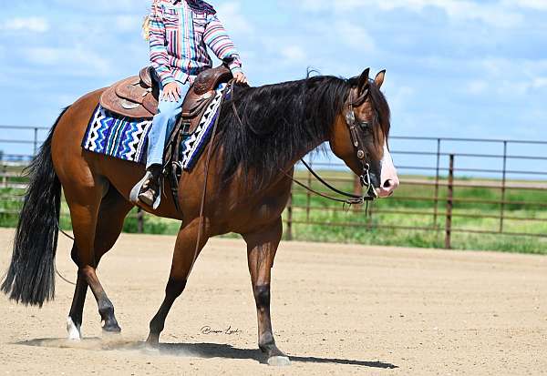 ranch-versatility-quarter-horse