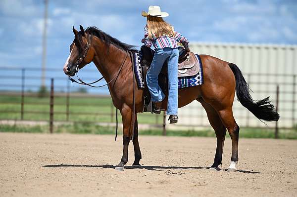 ranch-work-quarter-horse