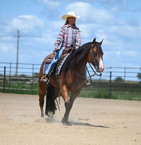 roping-quarter-horse