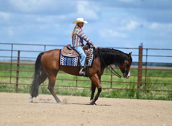 trail-riding-quarter-horse