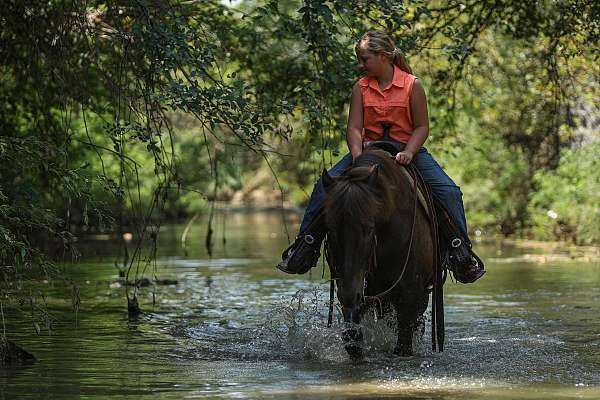 black-flashy-horse