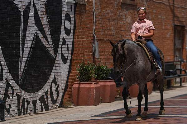 trail-quarter-pony