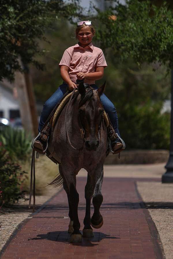 trail-riding-quarter-pony